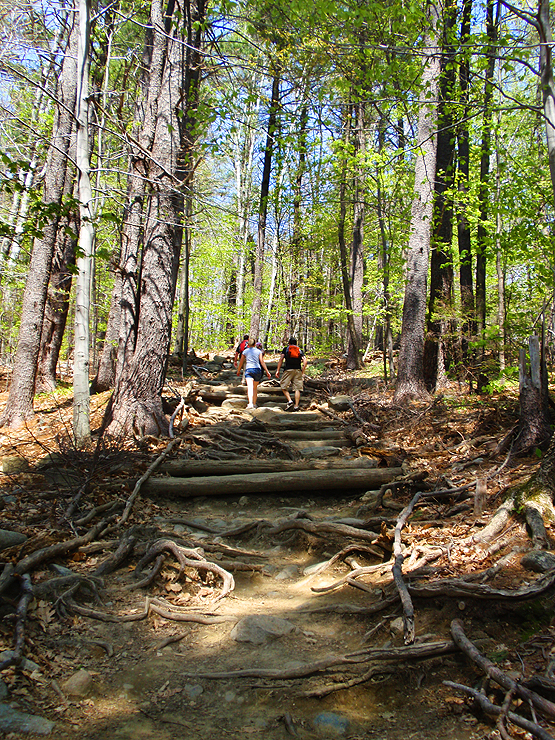 mount monadnock hiking trail